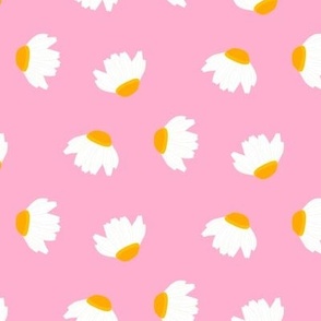 White daisies on pink tossed scattered (medium)