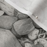 hand drawn pebbles graphite