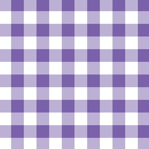 Purple Gingham Checker Fabric SMALL