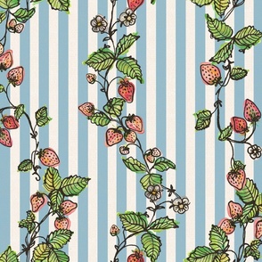 Winding Strawberry Vines in Watercolor - Stripy back ground White and Blue