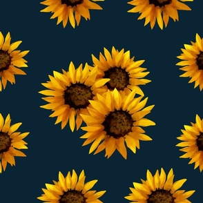 Sunflowers on a navy blue background 