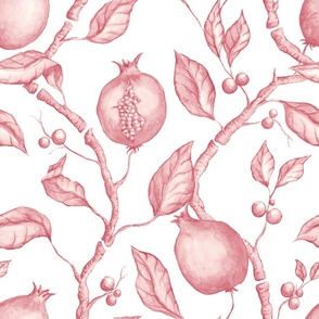 Pomegranates Pink and White