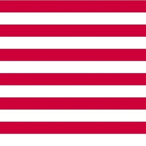 Medium Fourth of July Horizontal Stripe Old Glory red, USA patriotic, red and white