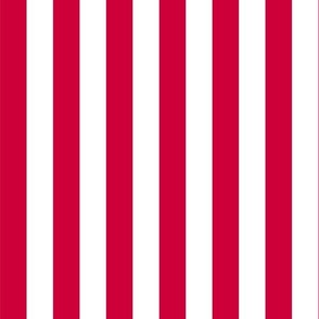 Medium Fourth of July Vertical Stripe Old Glory red, USA patriotic, red and white