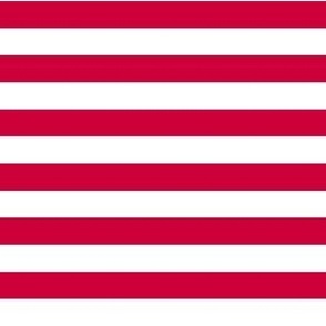 Small Fourth of July Horizontal Stripe Old Glory red, USA patriotic, red and white