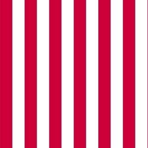 Small Fourth of July Vertical Stripe Old Glory red, USA patriotic, red and white