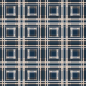 Simple checkered shirt pattern boho style blue beige