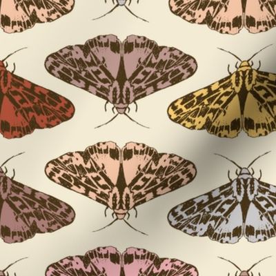 Vintage moths