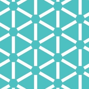 beach umbrella hexagon geometric teal white wallpaper  scale