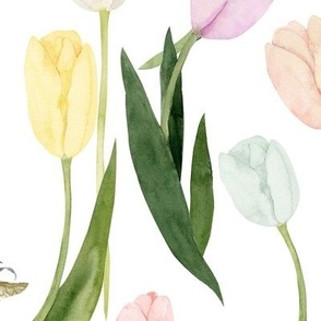 Jumbo / Watercolor Tulips