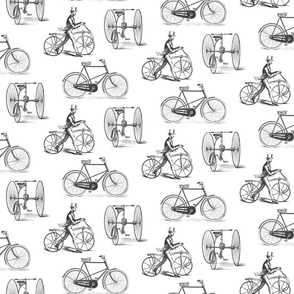 Old Fashioned Bicycles