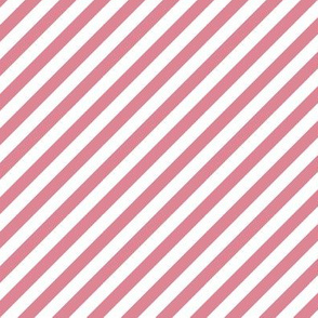 Diagonal Stripe Coral