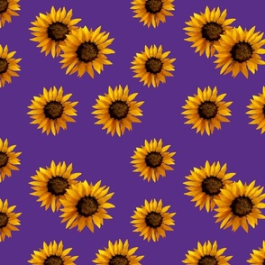  Sunflowers on a violet background