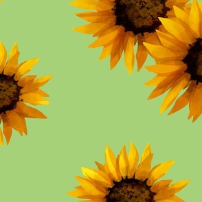  Sunflowers on a light green background 