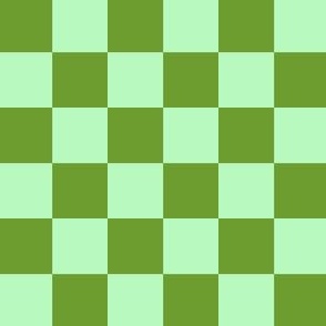 Green and Mint Checks One Inch