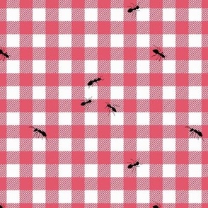 picnic ants
