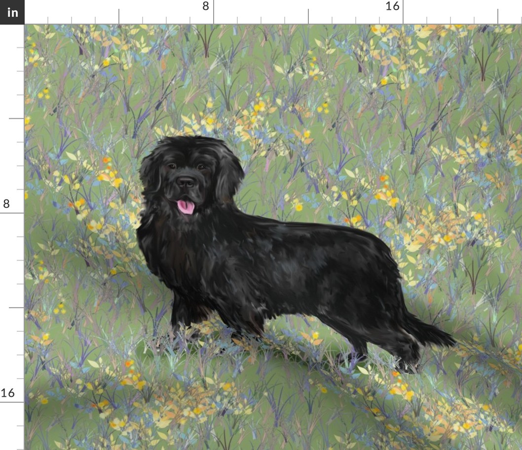 Newfoundland Dog On Wildflower Field for Pillow