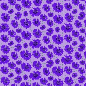 Cornflowers in Purple