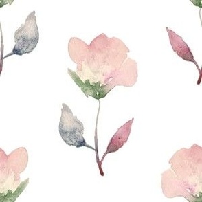 Cute Pink Flower / Watercolor