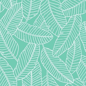 Turquoise Banana leafs