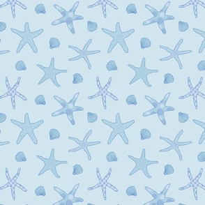(medium) starfish and clams
