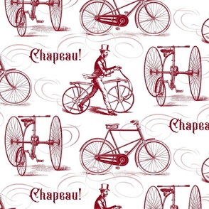French Vintage Bikes 