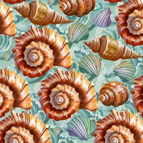 Shells and Waves