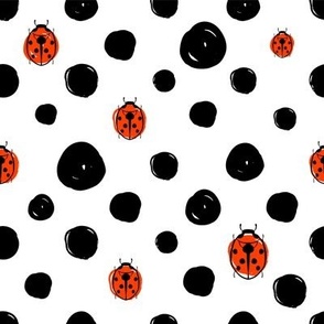  insects polka dot ladybug