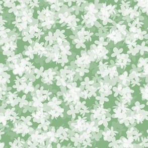 White Hydrangeas on Spring Green
