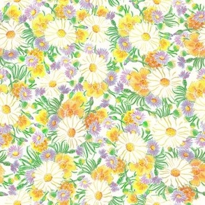 daisies floral  