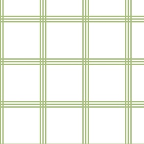 Plaid Check in Green