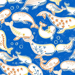 (L) Beluga doodles