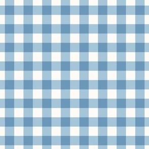 1/2 inch Cool Blue Gingham Check