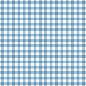 1/4 Inch Cool Blue Gingham Check