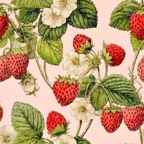 Antique watercolor wild strawberry and flowers on blush pink