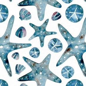 Watercolor Starfish Sand dollar and Seashell | Indigo Monochromatic