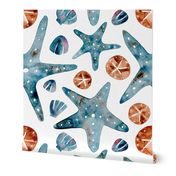 Watercolor Starfish Sand dollar and Seashell | White background