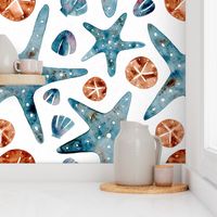 Watercolor Starfish Sand dollar and Seashell | White background