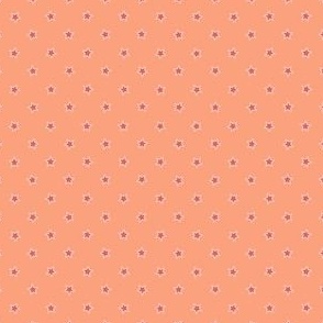 Witchy Stars (4") - pink, orange (ST2024WS)