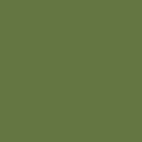 solid color fern green 647642