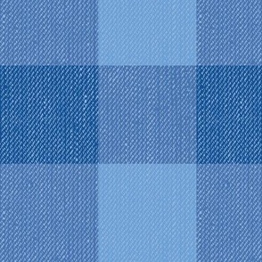Twill Textured Gingham Check Plaid (3" squares) - Pantone Nautical Blue and Little Boy Blue  (TBS197)
