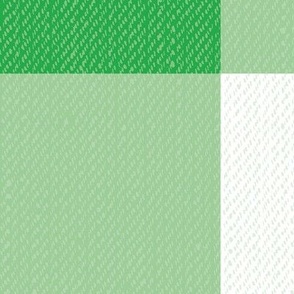 Twill Textured Gingham Check Plaid (6" squares) - La Palma Green and White  (TBS197)