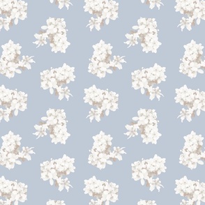 White flowers on pale blue