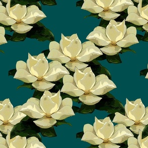 magnolia cerulean