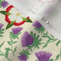 Tudor Rose and Scottish Thistle, small scale