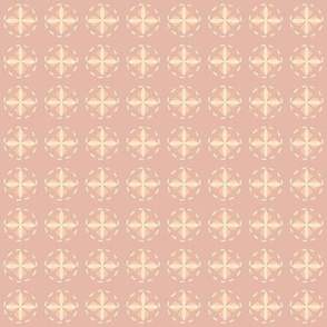 small // geometric circle cross hand drawn salmon pink