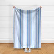 1 inch Light Blue Painted Stripes on White (Vertical)