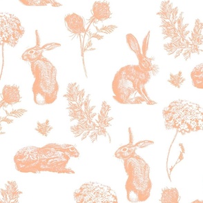 Hares With Carrot Flowers and Leaves - Vintage Engraving Style Illustration - Peach Fuzz Colorway