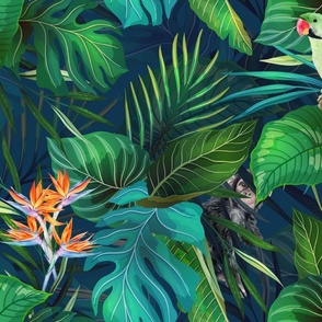 Tropical Rainforest Animals And Flowers