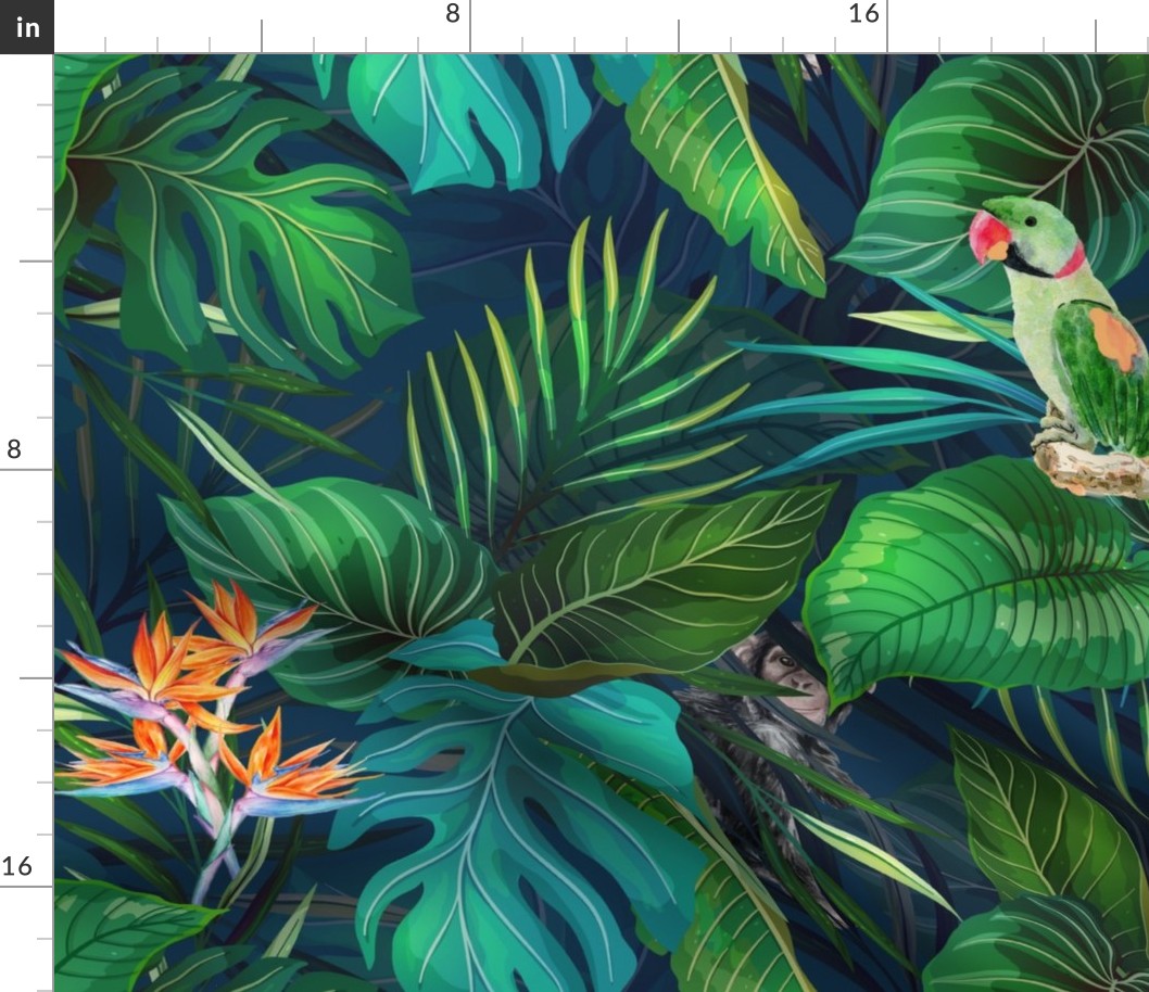 Tropical Rainforest Animals And Flowers